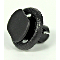 RIVET
