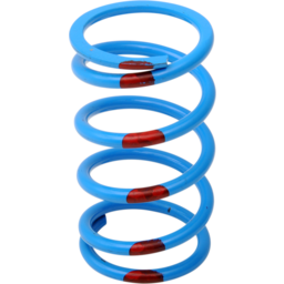 Primary Spring