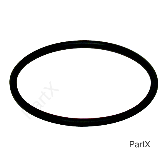 O-Ring (84255)
