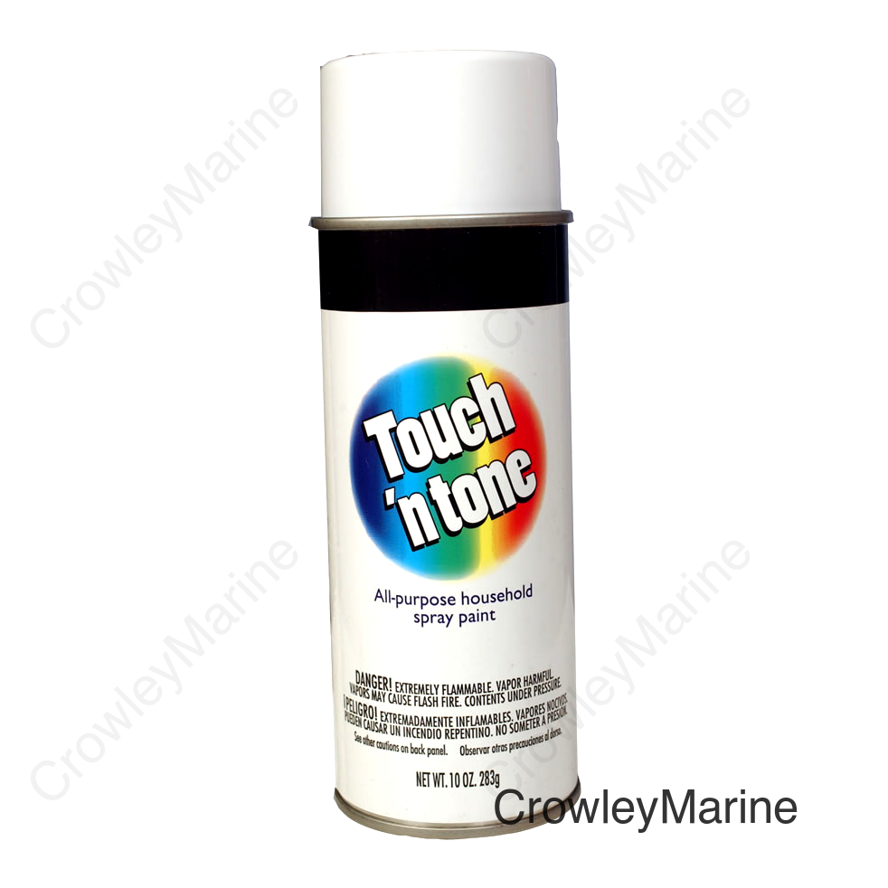 10OZ PAINT GLOSS WHITE