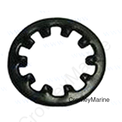 WASHER, INTERNAL TOOCH  6 (PAGB/T861.1-87)