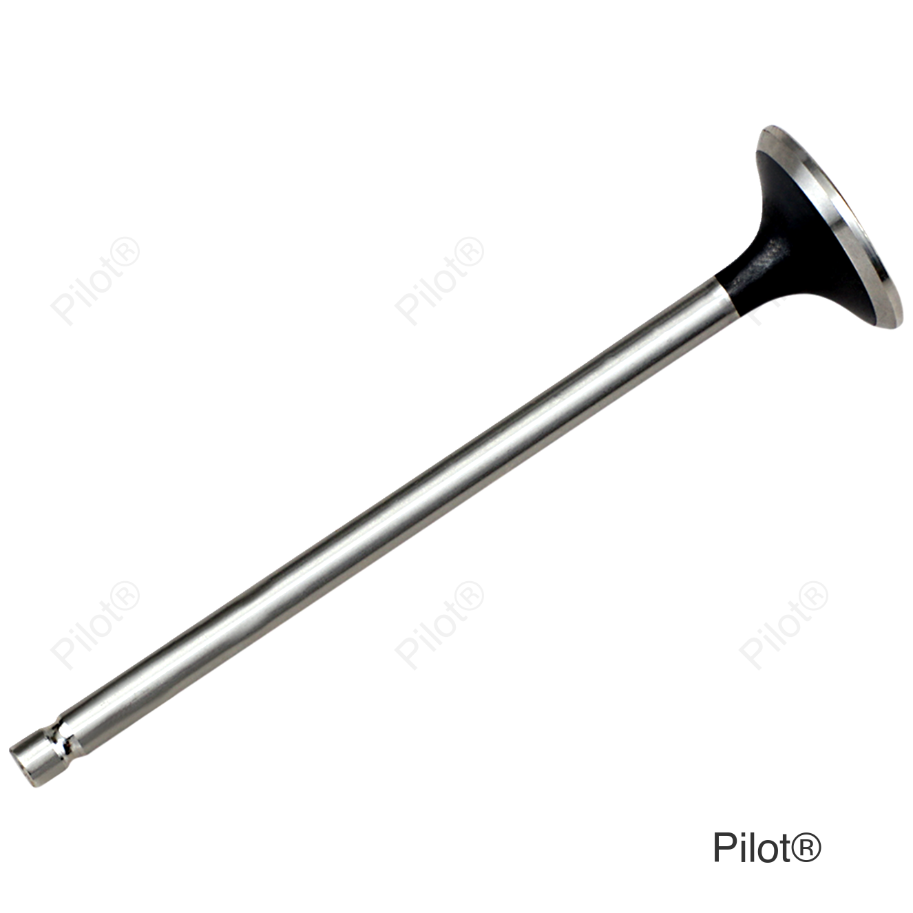 Exhaust Valve