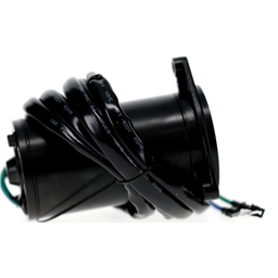 Tilt & Trim Motor thumbnail-5
