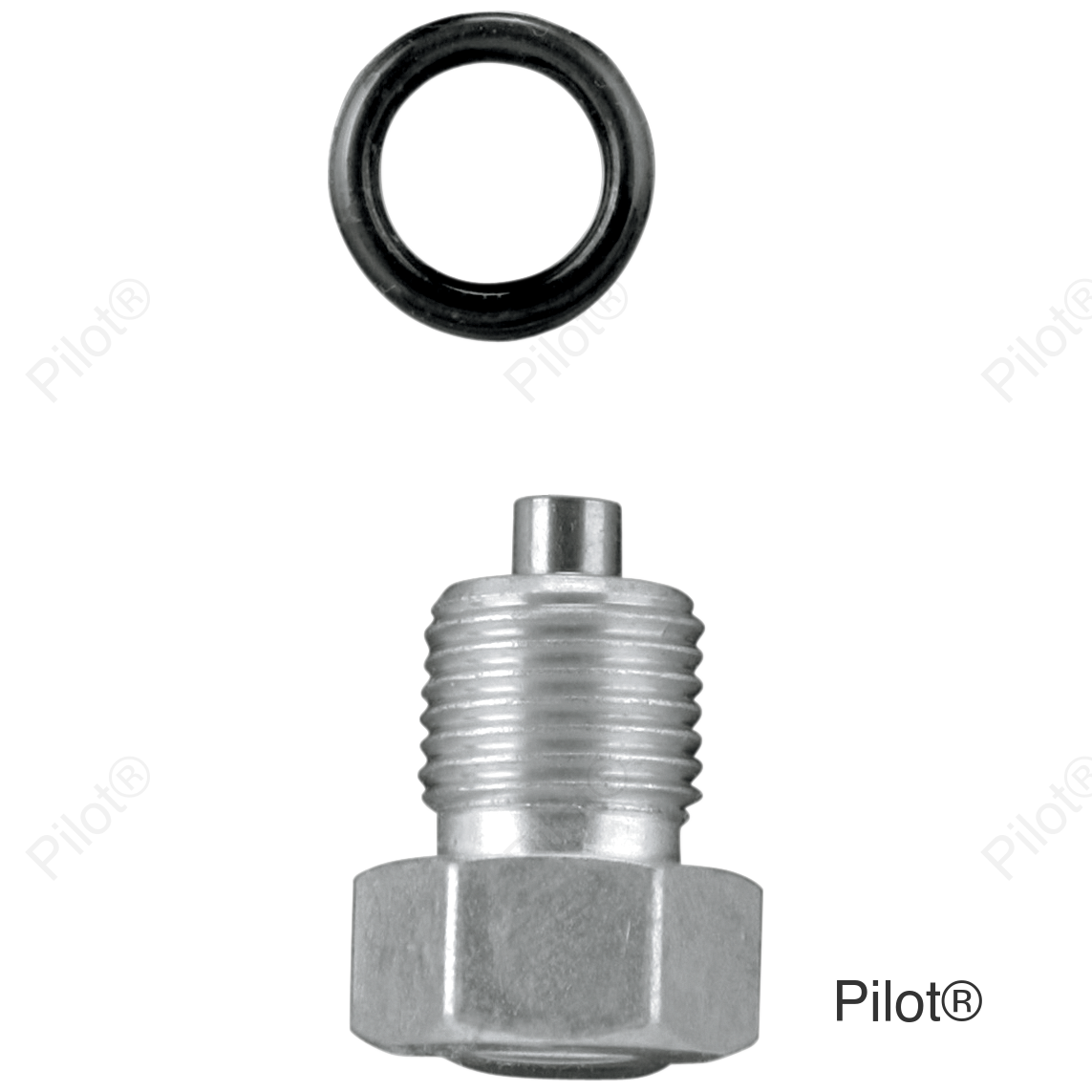Drain Plug - Oil Tank with Gasket - Magnetic - Zinc