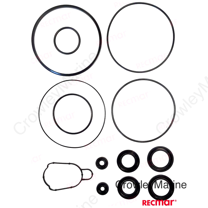GEAR CASE SEAL (REC25700-93L00)