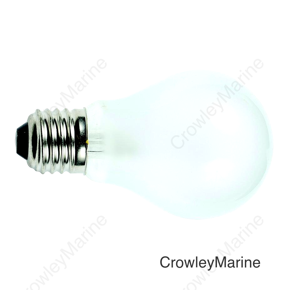 Ancor Light Bulb, Medium Screw Standard Base (2 Per Pack)