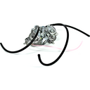 Carburetor Assembly
