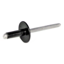 Rivet