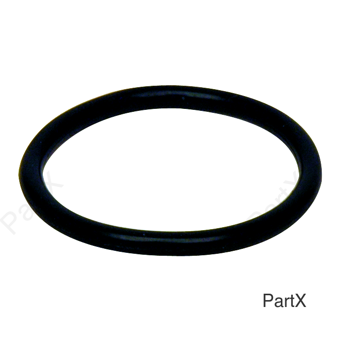 O-Ring (84003)