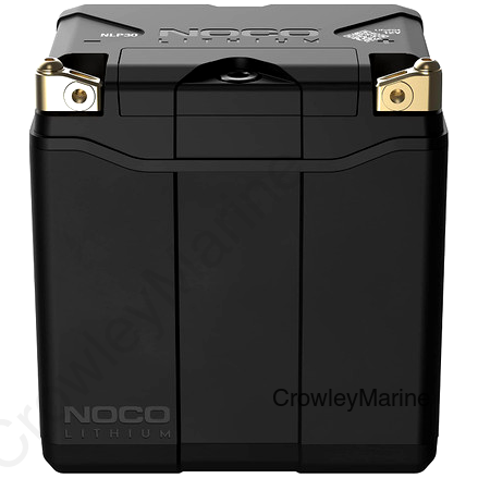 GROUP 30 POWERSPORTS BATTERY (NLP30)