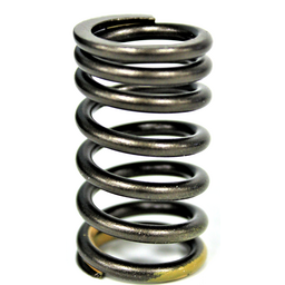 Valve Inner Spring