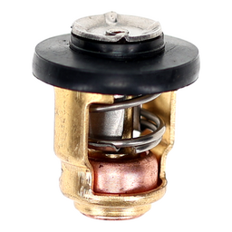 THERMOSTAT thumbnail-0