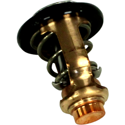 THERMOSTAT,WATE