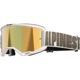 Vision 5 Goggle - Hollow - Wind - Gold Mirror thumbnail-1
