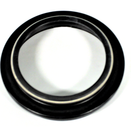 Dust Seal