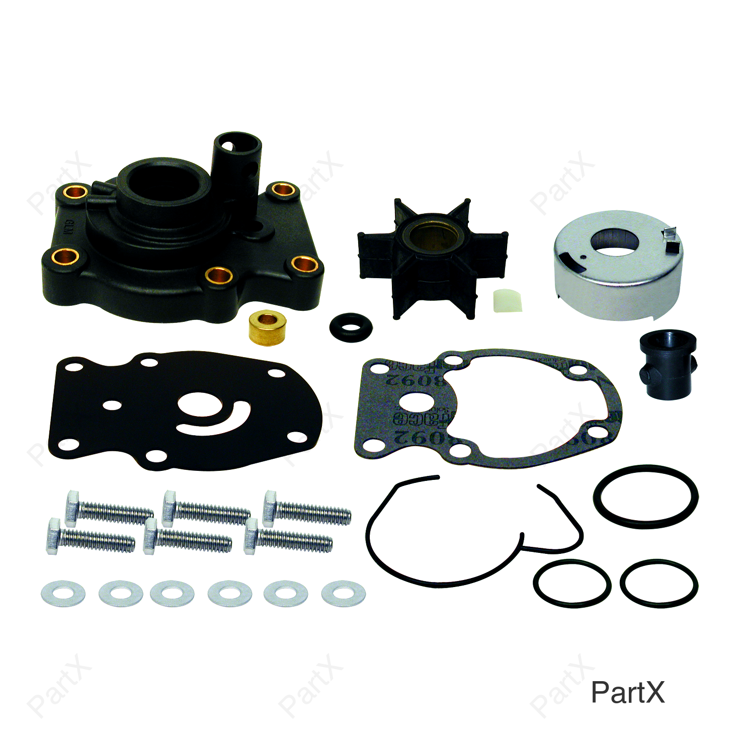 Water Pump Kit,Complete