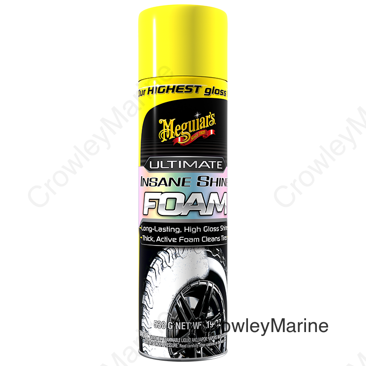 TIRE FOAM; HOGH GLOSS; 19 OUNCE