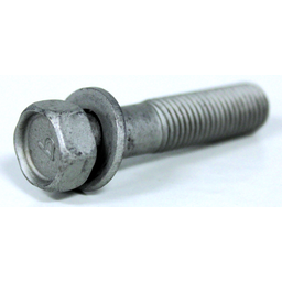 Bolt with Washer