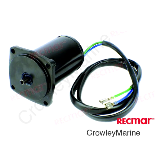 TRIM  MOTOR