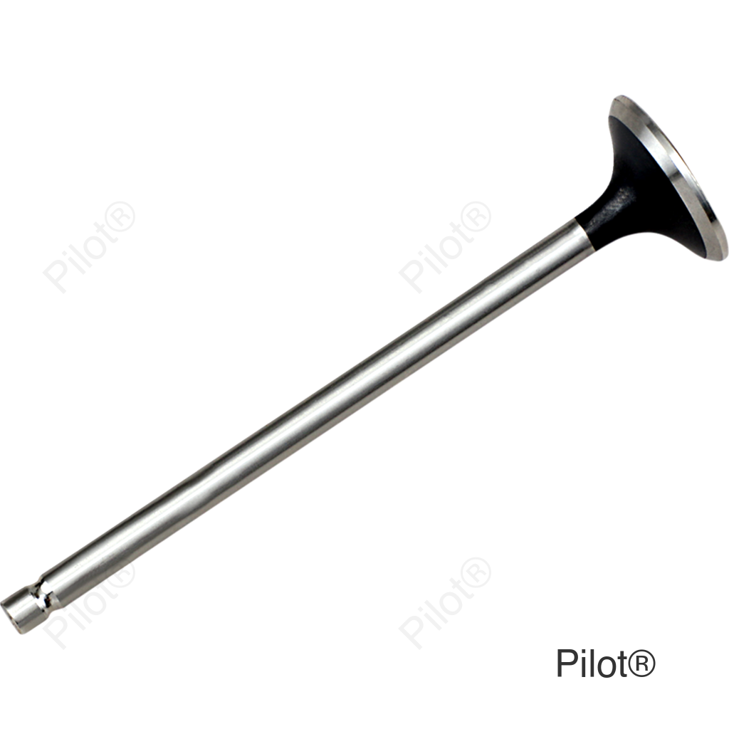Exhaust Valve