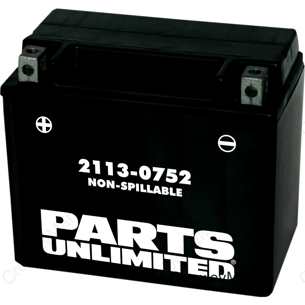 BATTERY FA YTX12