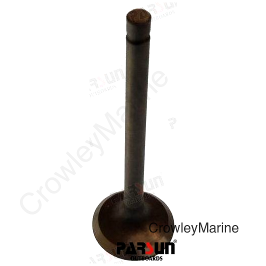 VALVE, EXHAUST (PAF20-05030002)