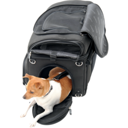 Pet Voyager thumbnail-12