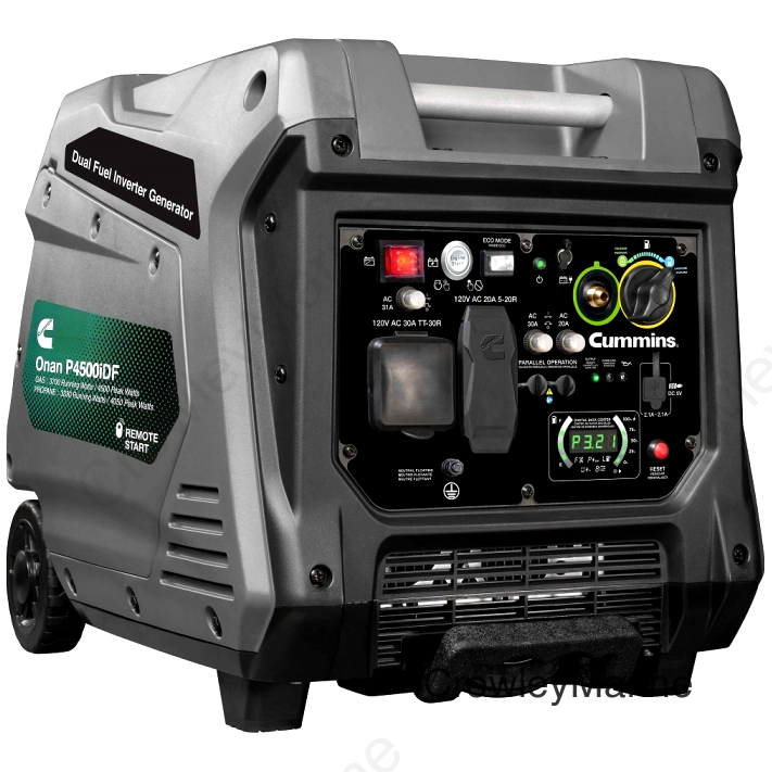 P4500IDF DUAL FUEL GENERATOR