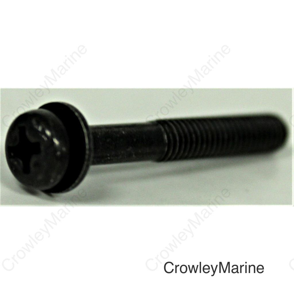 Screw With Washer