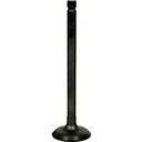 Intake Valve