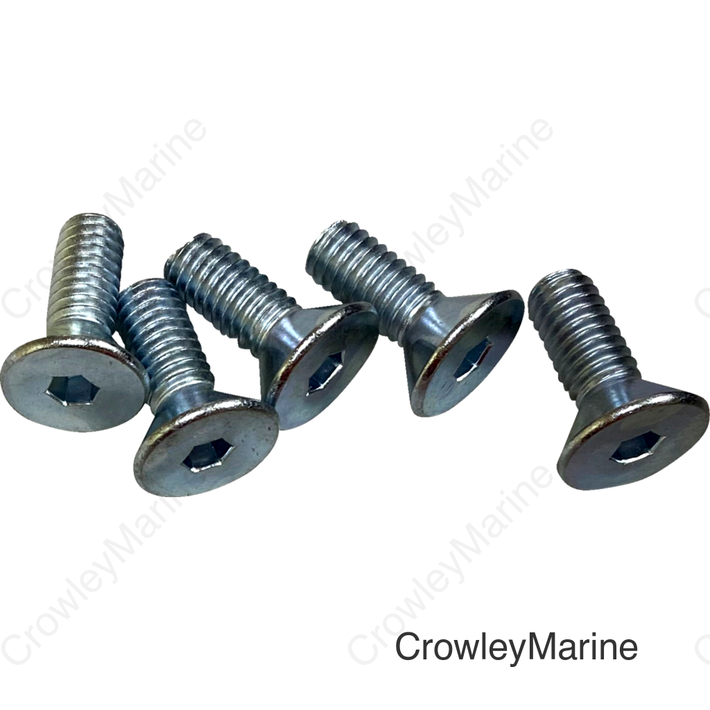 SCREWS F RTR 5/16-18CS