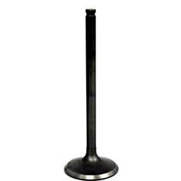 EXHAUST VALVE
