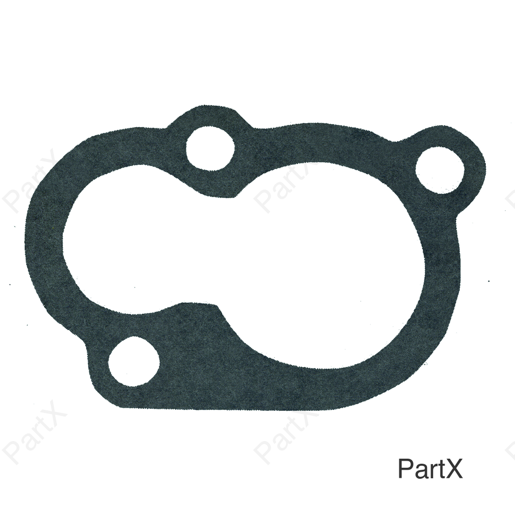 Gasket (38079)