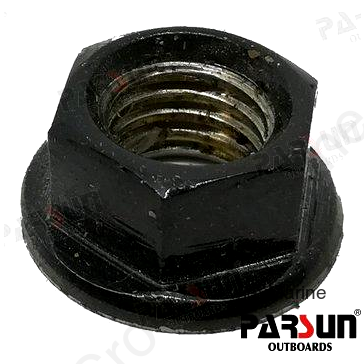NUT M10 (PAF25-00000005)