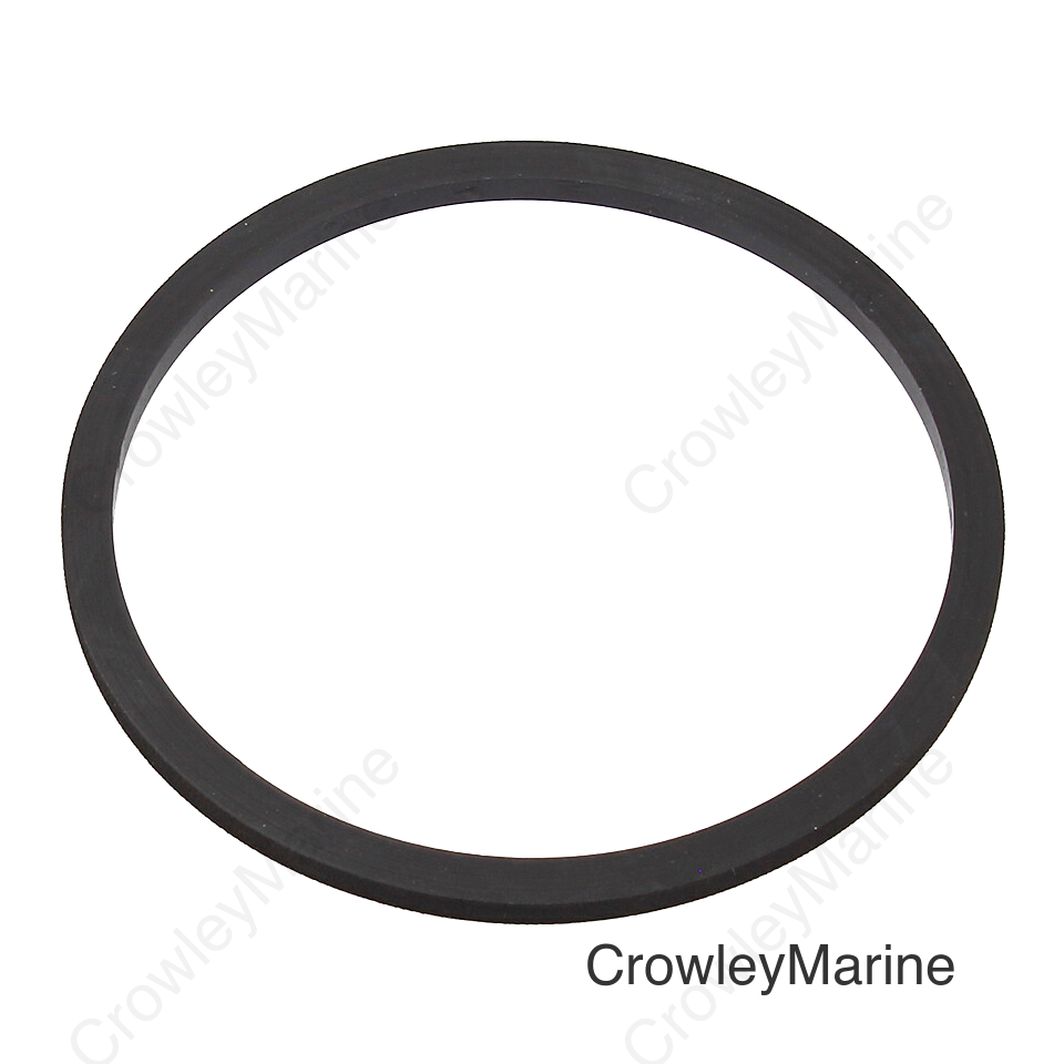 FUEL PUMP SEAL A/C YAM