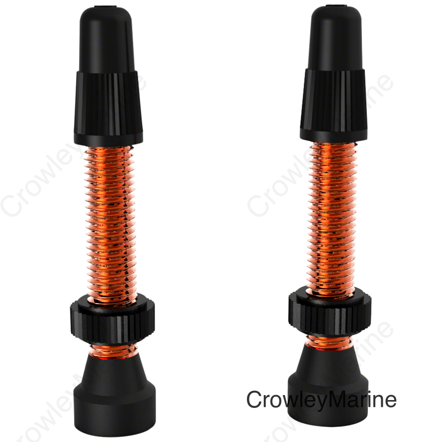 WTB Aluminum TCS Tubeless Valves: 46mm Orange Pair