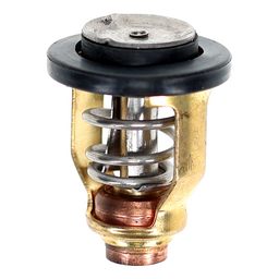 Thermostat (60 Degrees C)(140 Degrees F)