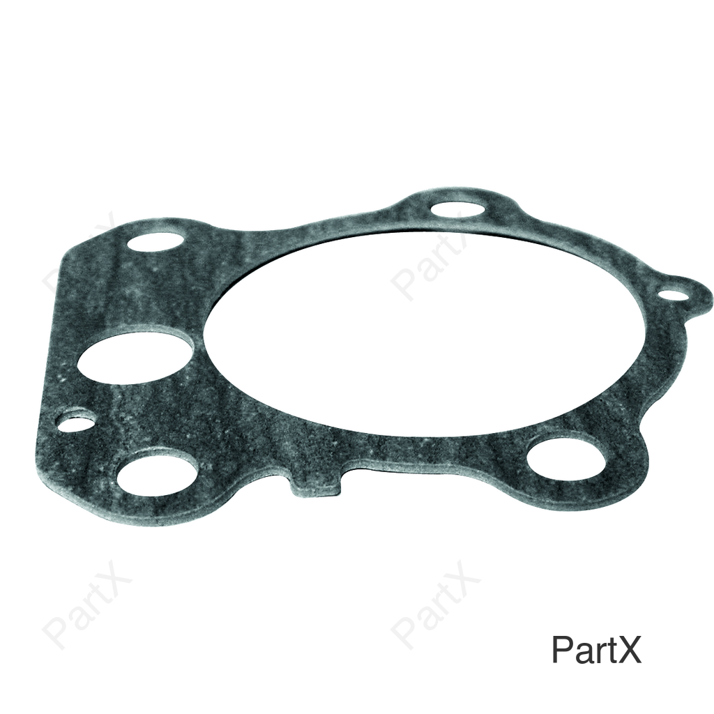 Gasket (38001)