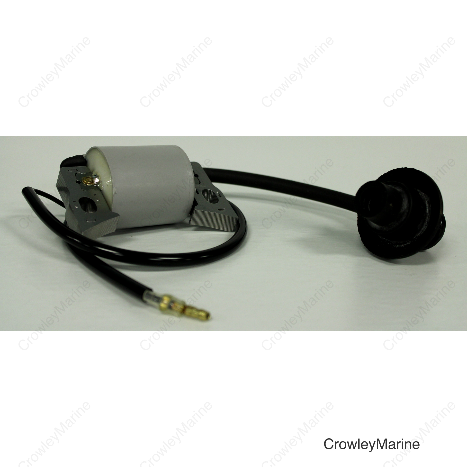 COIL ASSY., IGNITION