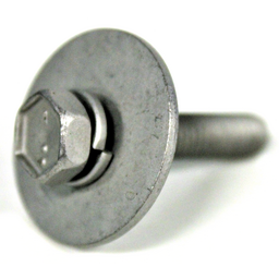 Bolt with Washer