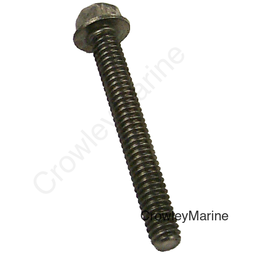 Stainless Steel Bolt