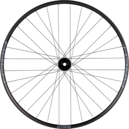 Stan's No Tubes Arch S2 Front Wheel - 29 15 x 100mm 6-Bolt Black