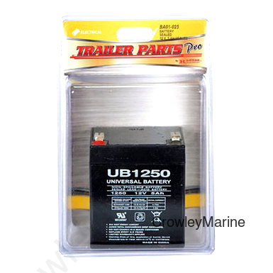 Breakaway Battery 12V 5Ah Sealed, Packaged (419244)