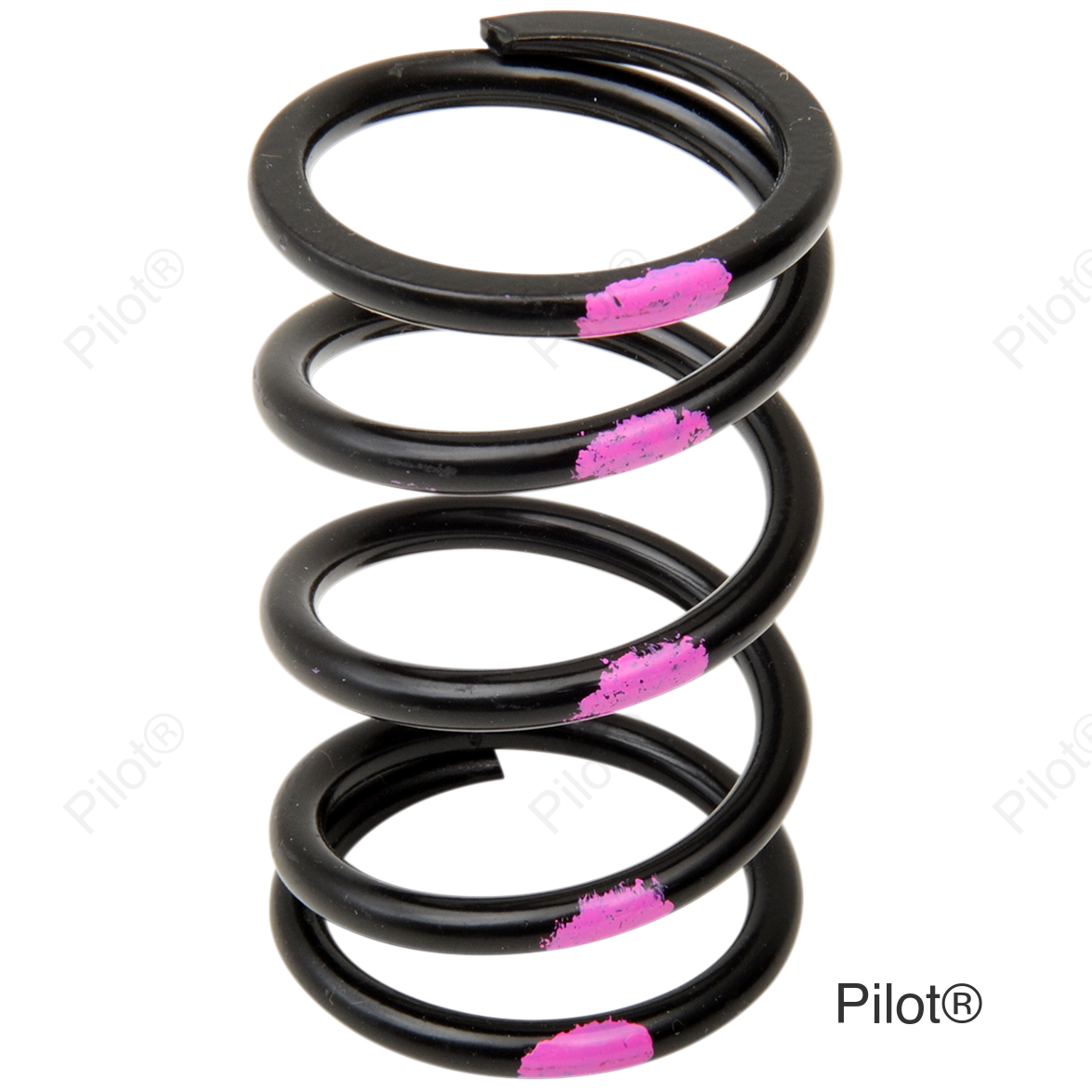 Primary Spring