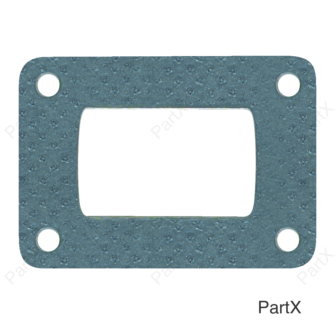 Gasket (36820)