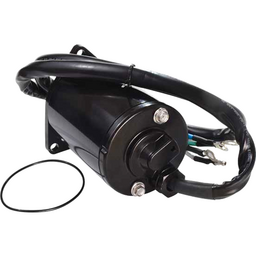 Trim Motor