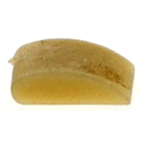 Water Pump Kit,Complete thumbnail-5