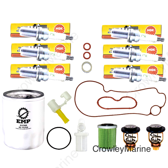 Service Kit, 100 Hour Basic 