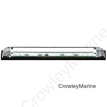 8", 18 RGBW LED's