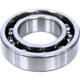 BEARING (6005)